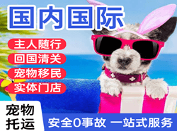 忻州航空空运国际宠物托运 【国